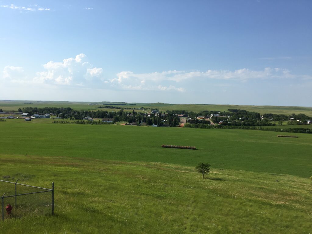 Carson Panoramic 1